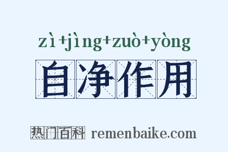 自净作用是什么意思的图片